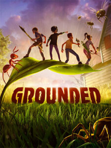 Read more about the article Grounded