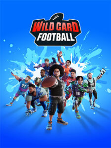 Read more about the article Wild Card Football